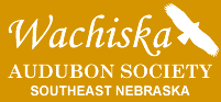 Wachiska Logo
