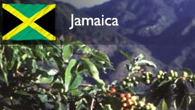 Jamaica