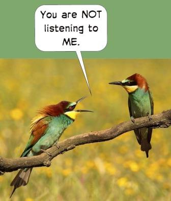 A bird yelling to another, Listen to me
