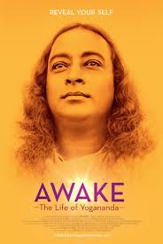 AWAKE poster