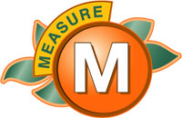 Measure M