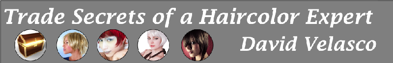 Salon Success Systems