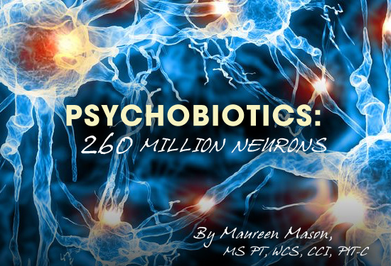 Psychobiotics: 260 Million Neurons - By Maureen Mason, MS PT, WCS, CCI, PYT-C