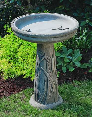 Dragonfly birdbath