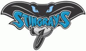 Athletic log stingray