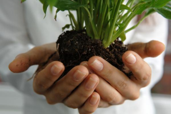 Earth Day