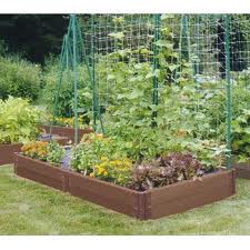 veg garden