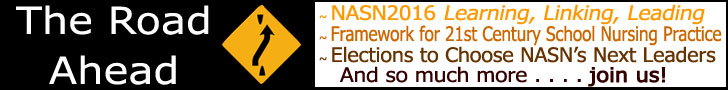 The Road Ahead. NASN2016_ Framework_ Elections_ More