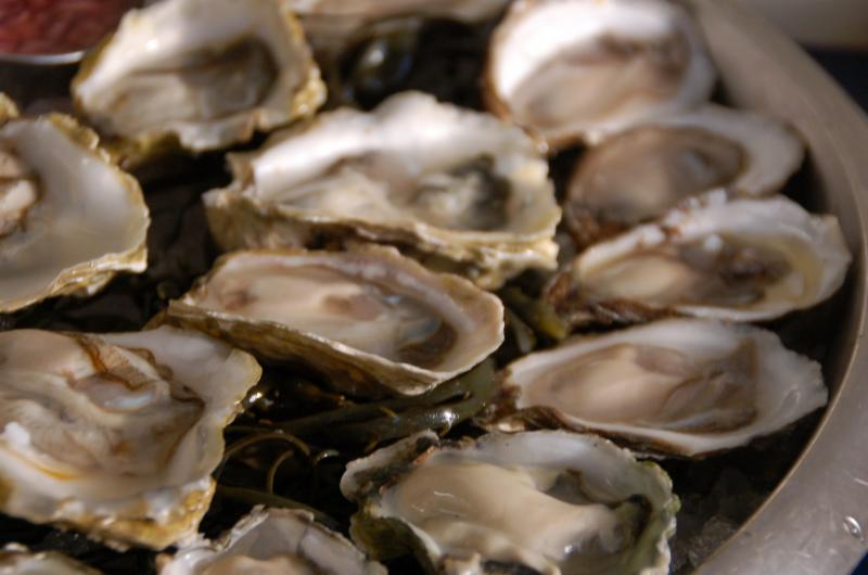 Oysters