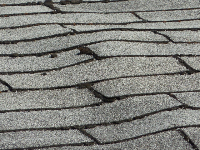 buckling shingles