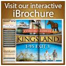 Kingsland Interactive Brochure Image