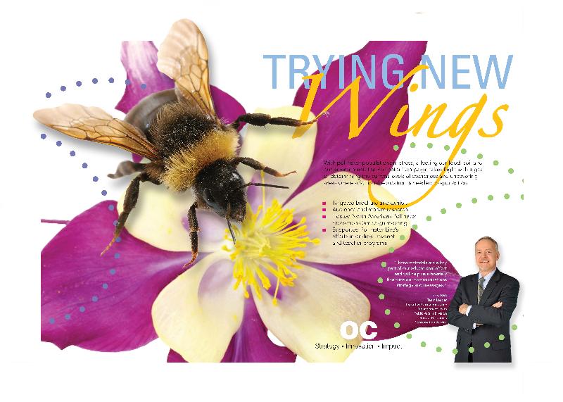 pollinators