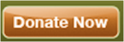 Donate Now