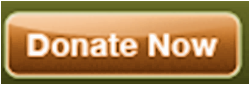 Donate Now