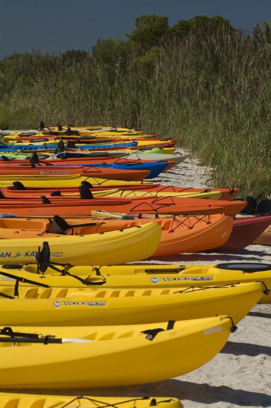 row of kayaks