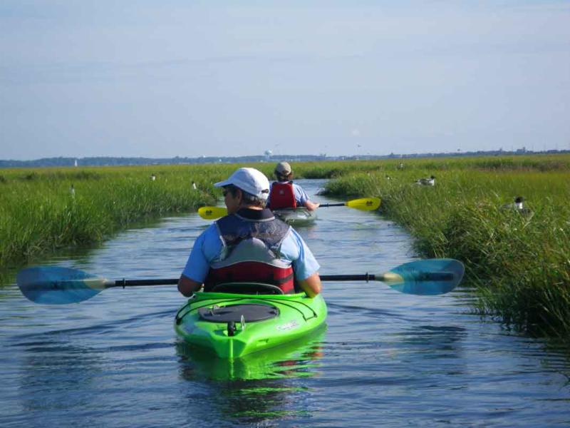 kayaking through bird lane