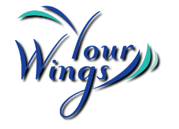 Your Wings Kim Evans