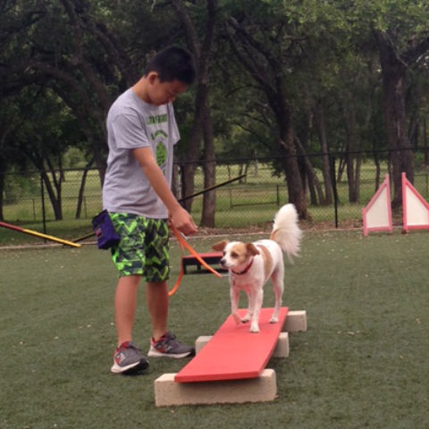 summer, agility, boy