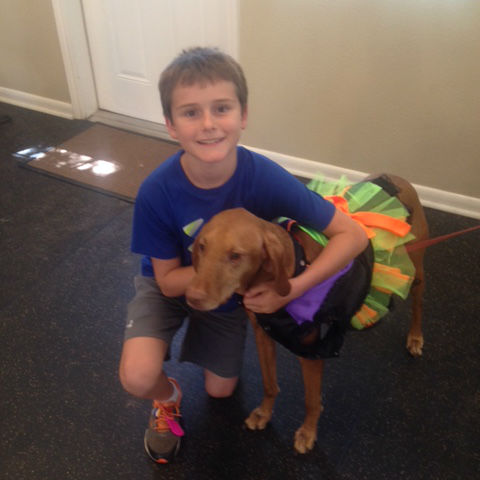 summer, Halloween, dress up