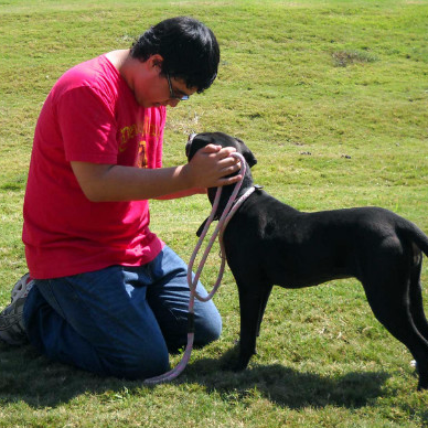 Youth Association boy with dog