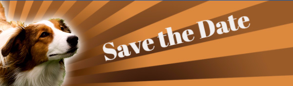 banner, dog, save the date