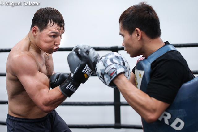 842cc5ec 9788 49a1 9227 3e207ea629a8