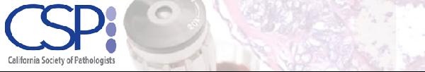 CSP Banner