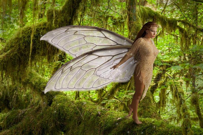 Pixie by John Hacht