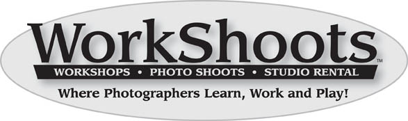New Logo Banner