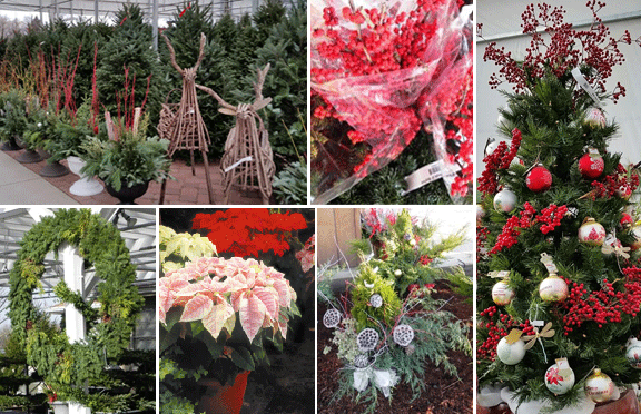 All Holiday On Sale!