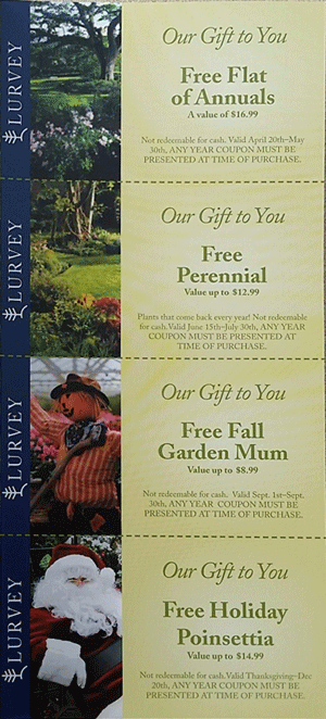 Coupons - Our Gift For You