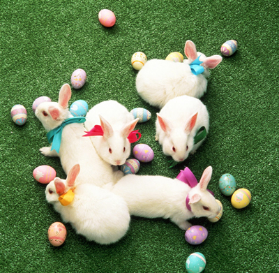 easter-bunnies.jpg