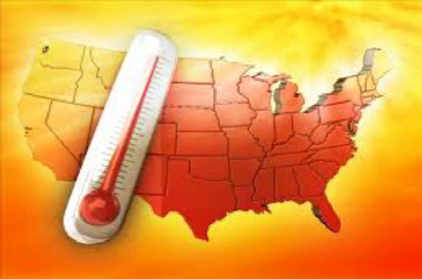 global warming true or false essay global warming true or false essay