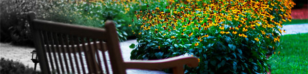 chair-flowers-banner.jpg