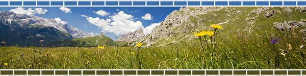bricks_mountains.jpg