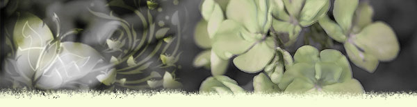 flower-butterfly-abstract.jpg