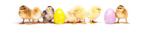 Easter