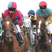Race Horses and Jockeys