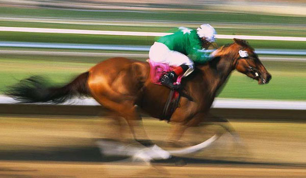 horse racing