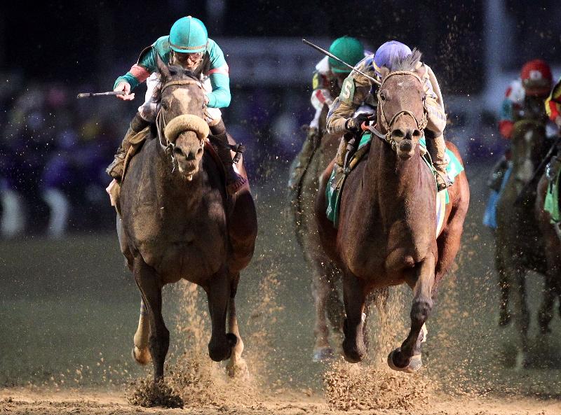 image of horse racing