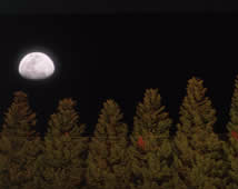 night-tennis-court.jpg