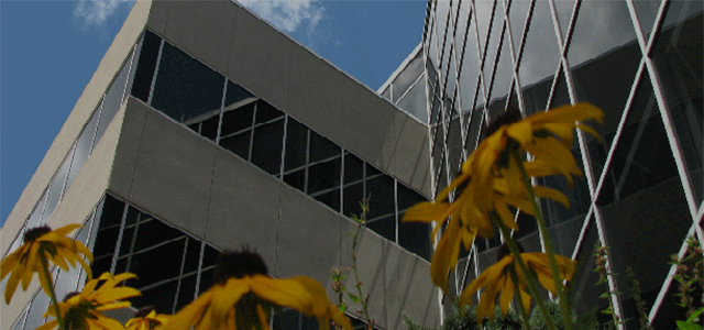 Spartan Office