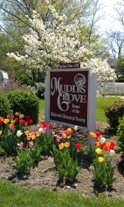 Mudd's Grove