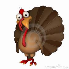 Turkey Toon
