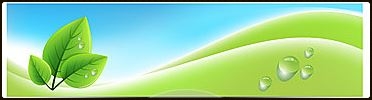 Eco Banner