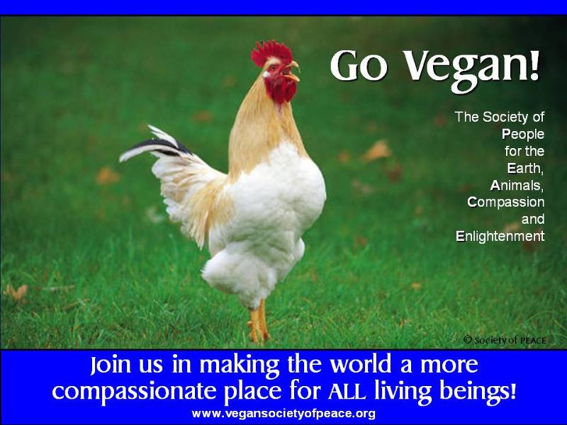 VSOP go vegan