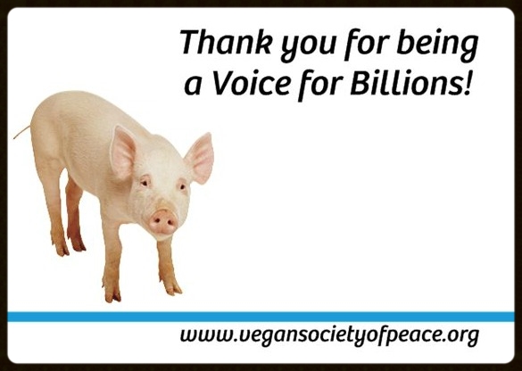 Thanks for being a voice VSOP logo