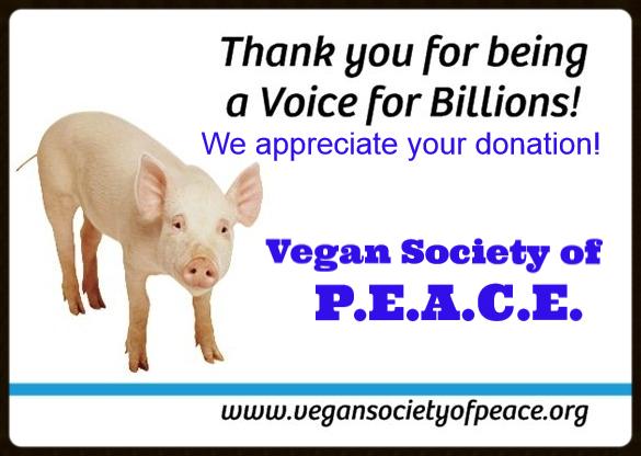 Thanks for being a voice VSOP logo