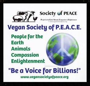 VSOP Logo PEACE Be A Voice
