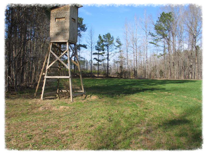 shooting house and foodplot